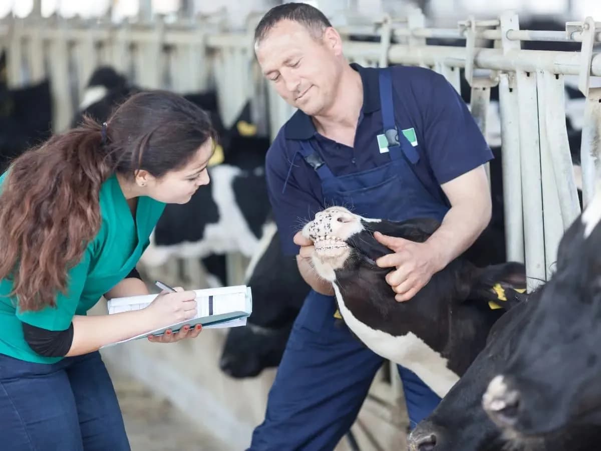 Ile zarabia modelką plus size? Zaskakujące fakty o wynagrodzeniach